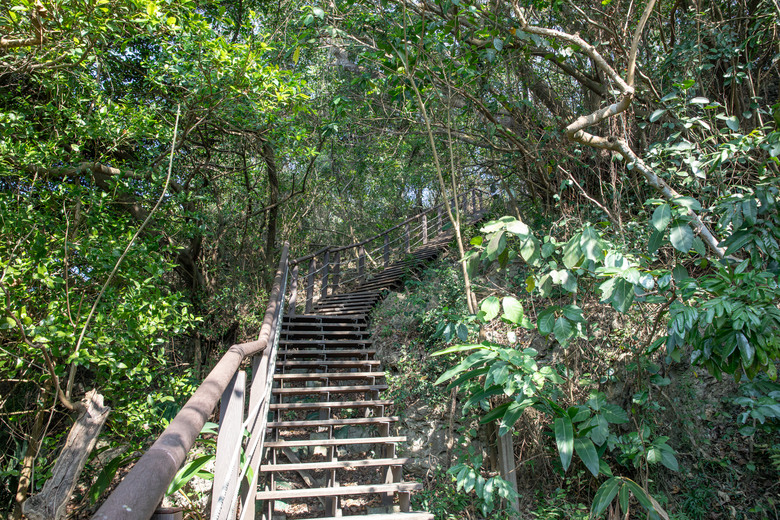 【小惡魔金龍踏春】過年走春趣｜高雄半屏山健行