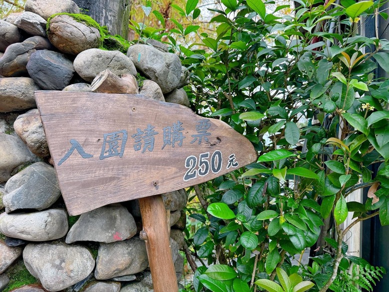 【小惡魔金龍踏春】之香格里拉踏青/住宿/農場