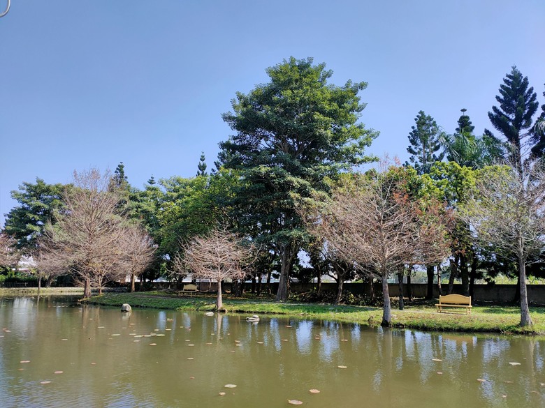 【小惡魔金龍踏春】適合小人親子出遊~不塞車花蓮市區免費景點推推給爸媽