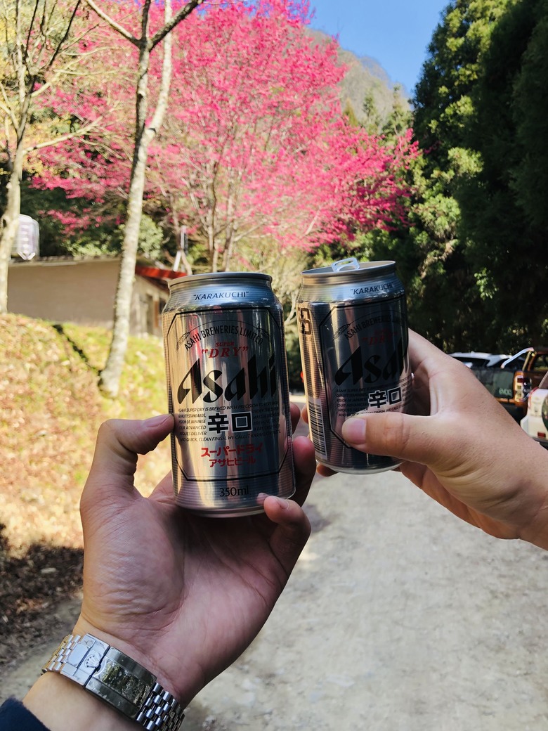 【世紀奇峰】▲▲ 阿霸,我回來了!!大霸尖山