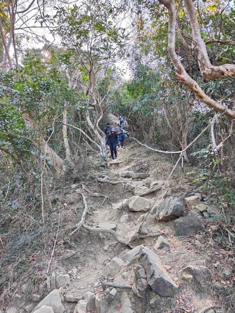 【小惡魔金龍踏春】年假爬山之初一旗靈山縱走行
