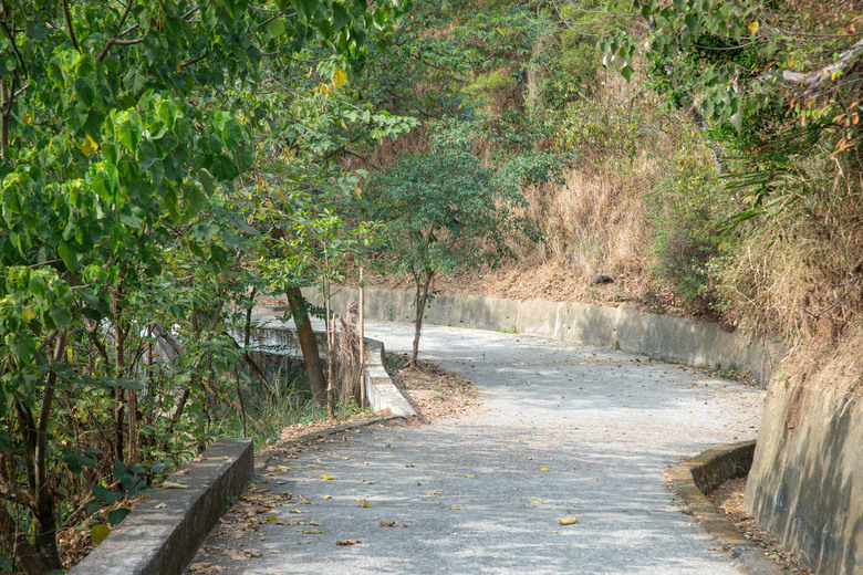 【小惡魔金龍踏春】道地古早美食 + 健行高雄觀音山步道