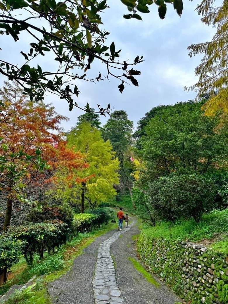 【小惡魔金龍踏春】之香格里拉踏青/住宿/農場