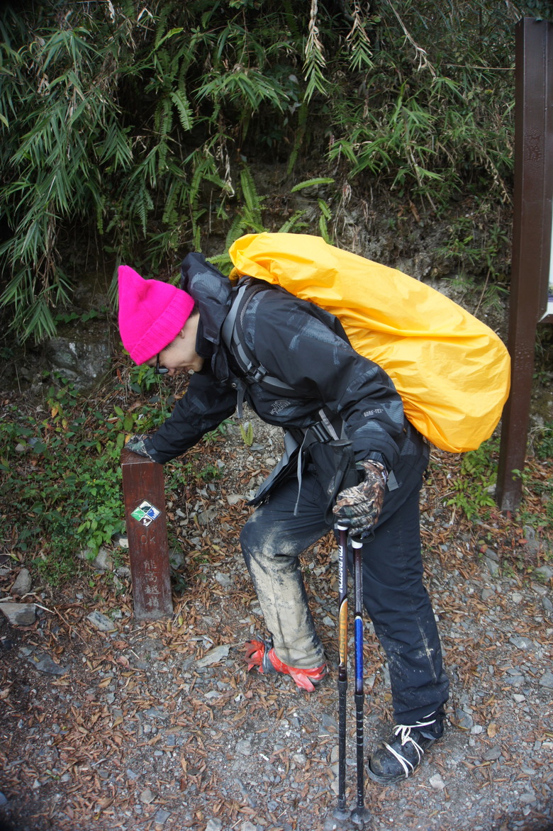 【小惡魔金龍踏春】最平易近人的百岳之一－奇萊山南峰