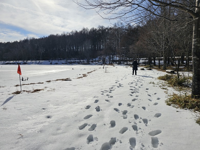 【小惡魔金龍踏春】日本長野女神湖雪中健行趣