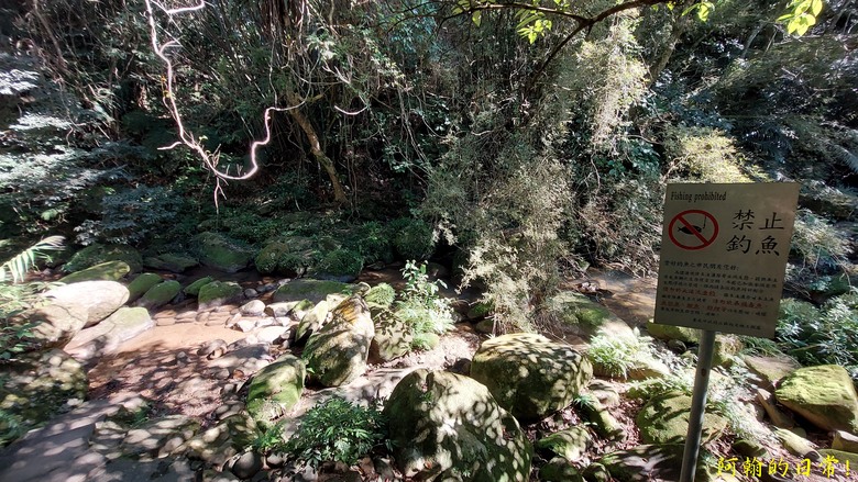 【小惡魔金龍踏春】雙心縱走 12座山峰+環湖走出心連心