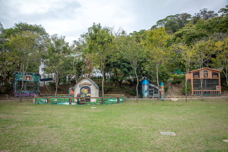 點我看大圖 【小惡魔金龍踏春】苗栗綠意山莊、泰安鐵道文化園區、羽粼落羽松