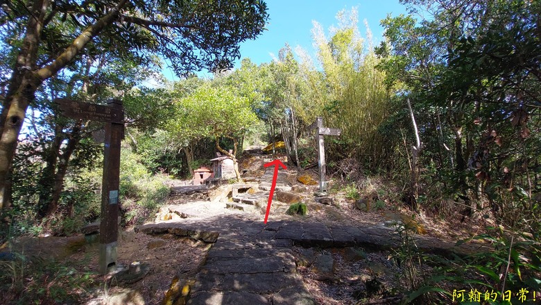 【小惡魔金龍踏春】雙心縱走 12座山峰+環湖走出心連心