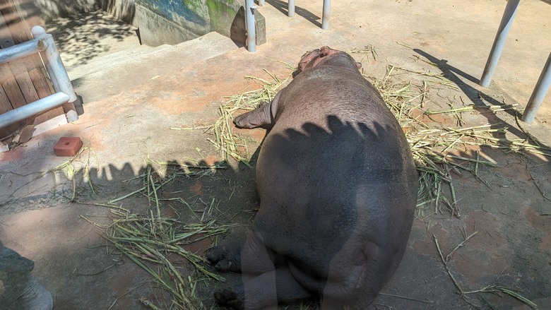 【小惡魔金龍踏春】我們家的兩天一夜小旅行 - Day 1 - 新竹市立動物園 / RT Baker House / 城隍廟小吃 / 煙波新竹湖濱館