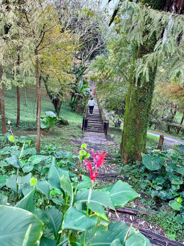 【小惡魔金龍踏春】之香格里拉踏青/住宿/農場