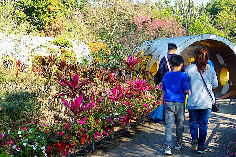 【小惡魔金龍踏春】南投 | 猴探井天空之橋