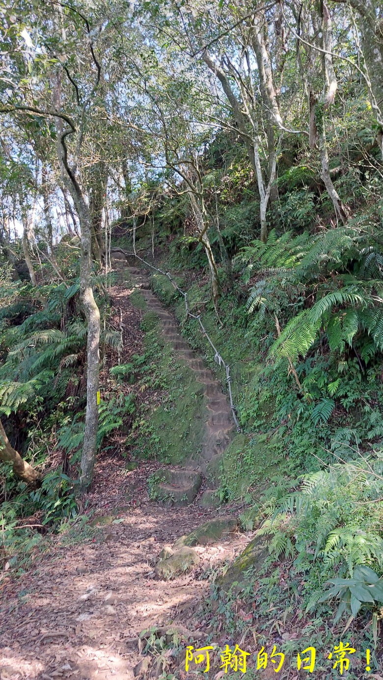 【小惡魔金龍踏春】筆架連峰 360度山巒優美景色 北部三大岩場最後拼圖