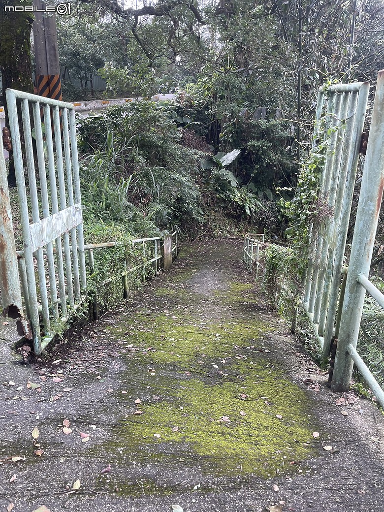 【小惡魔金龍踏春】茶情滿滿的初一踏青：父愛山水客景觀茶館之旅