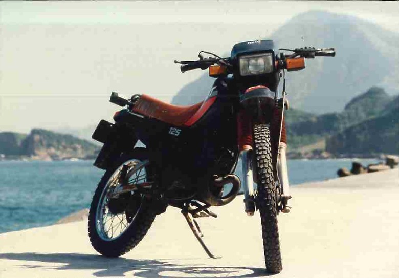 Yamaha FZS25開箱~大叔的出走日記