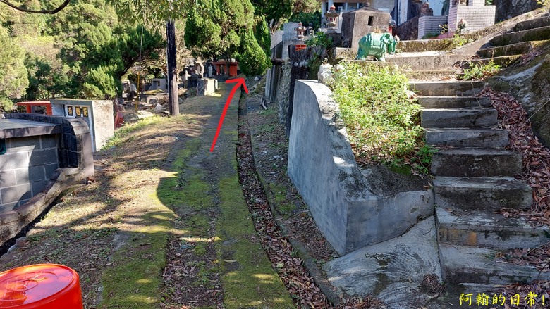 【小惡魔金龍踏春】雙心縱走 12座山峰+環湖走出心連心