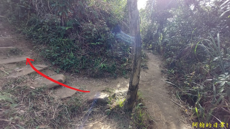 【小惡魔金龍踏春】雙心縱走 12座山峰+環湖走出心連心