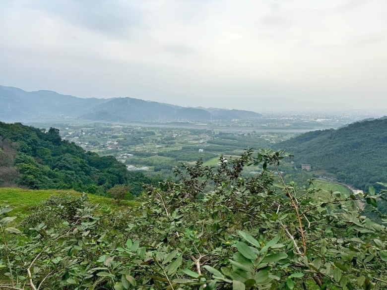 【小惡魔金龍踏春】之香格里拉踏青/住宿/農場