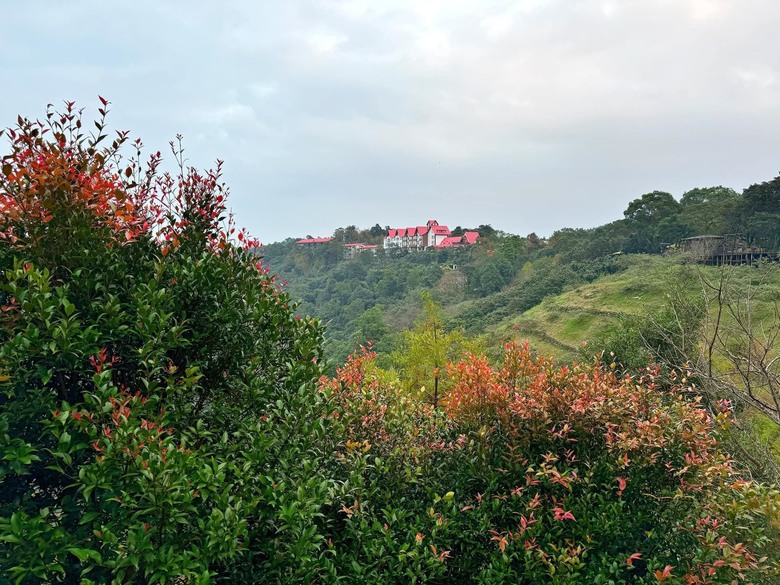 【小惡魔金龍踏春】之香格里拉踏青/住宿/農場