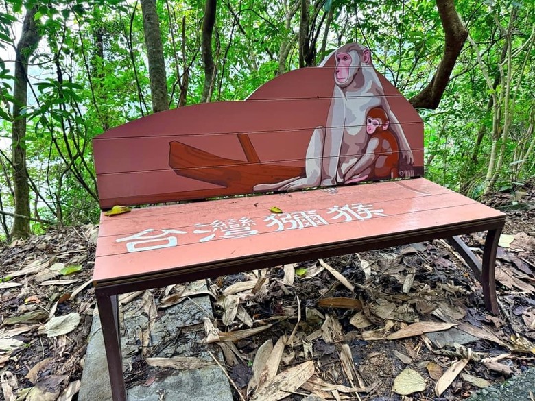 【小惡魔金龍踏春】之宜蘭三清宮步道