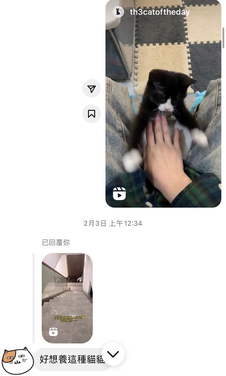 要來看我家貓後空翻嗎？但牠不會怎麼辦