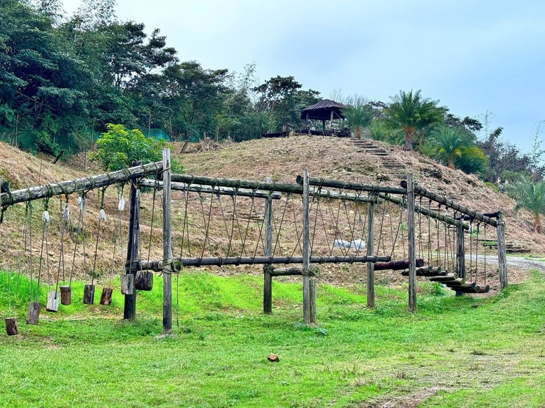 【小惡魔金龍踏春】之香格里拉踏青/住宿/農場