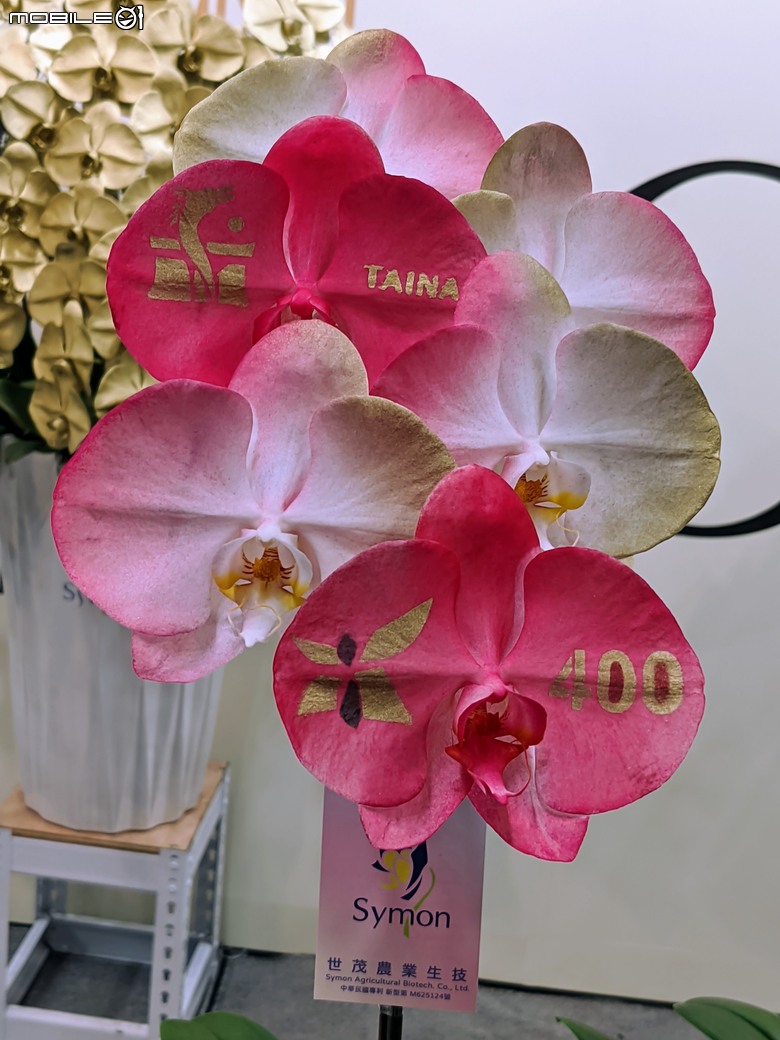 2024國際蘭花展後壁展區 台南市後壁區烏樹林蘭花園區 02/24