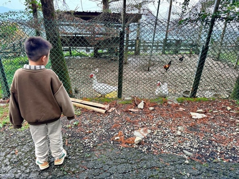 【小惡魔金龍踏春】之香格里拉踏青/住宿/農場