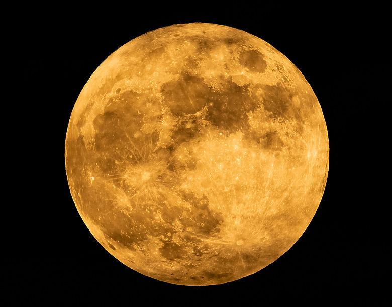 全幅長焦初體驗 NIKKOR Z 180-600mm