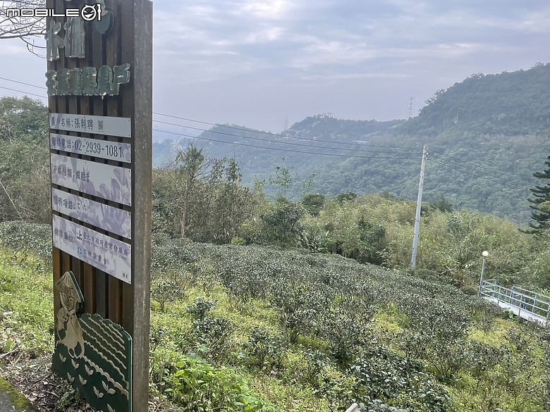 【小惡魔金龍踏春】茶情滿滿的初一踏青：父愛山水客景觀茶館之旅