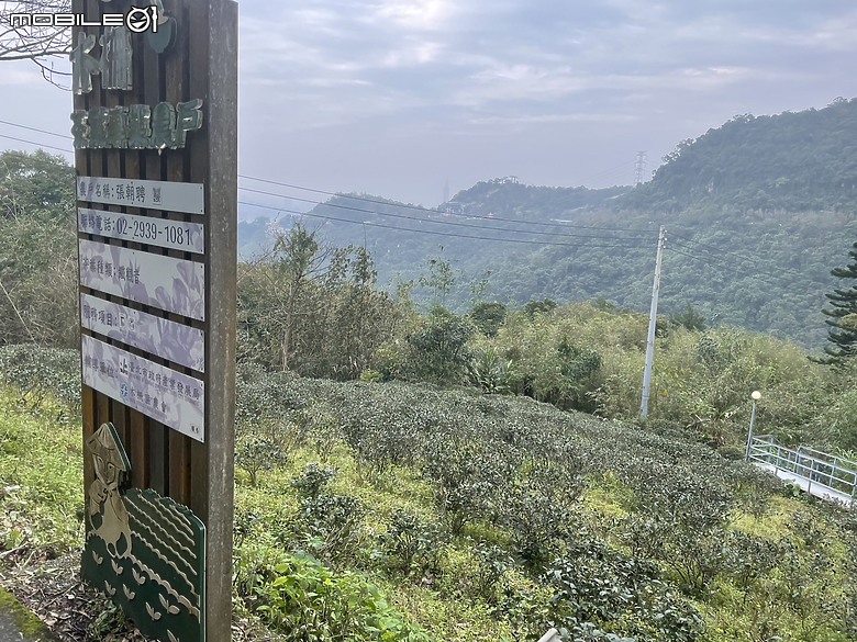 【小惡魔金龍踏春】茶情滿滿的初一踏青：父愛山水客景觀茶館之旅