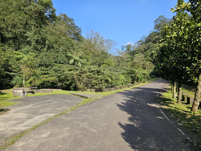 【小惡魔金龍踏春】平湖森林遊樂區龍年踏春健康趣