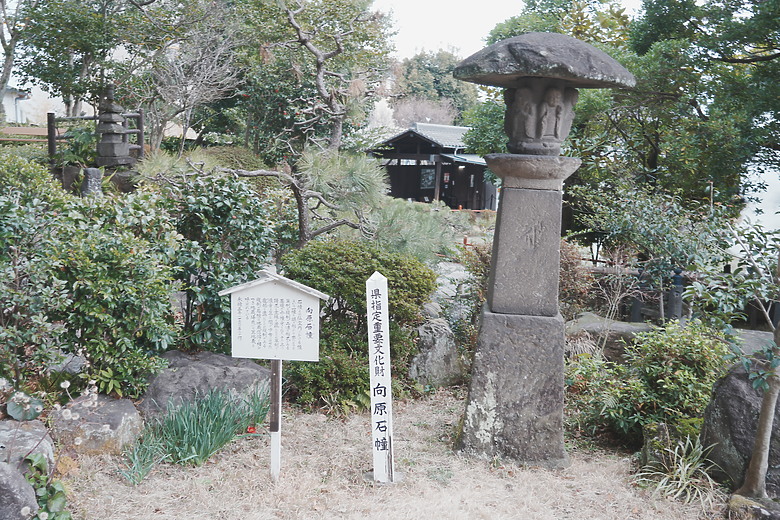 2024日本北九州家庭旅遊-Day3~5 in 別府、阿蘇 & 熊本