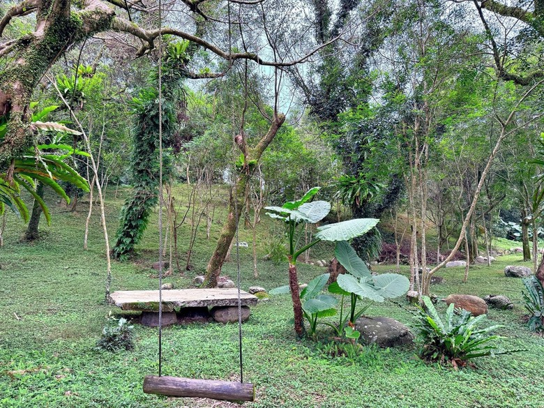 【小惡魔金龍踏春】之香格里拉踏青/住宿/農場