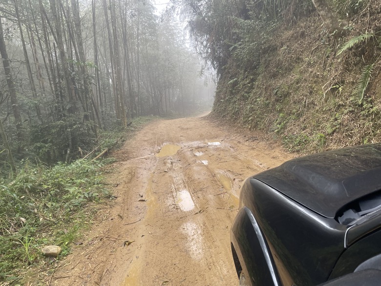 【小惡魔金龍踏春】南投秘境-東坪崙林道最新路況