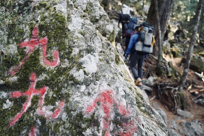 【世紀奇峰】▲▲ 阿霸,我回來了!!大霸尖山