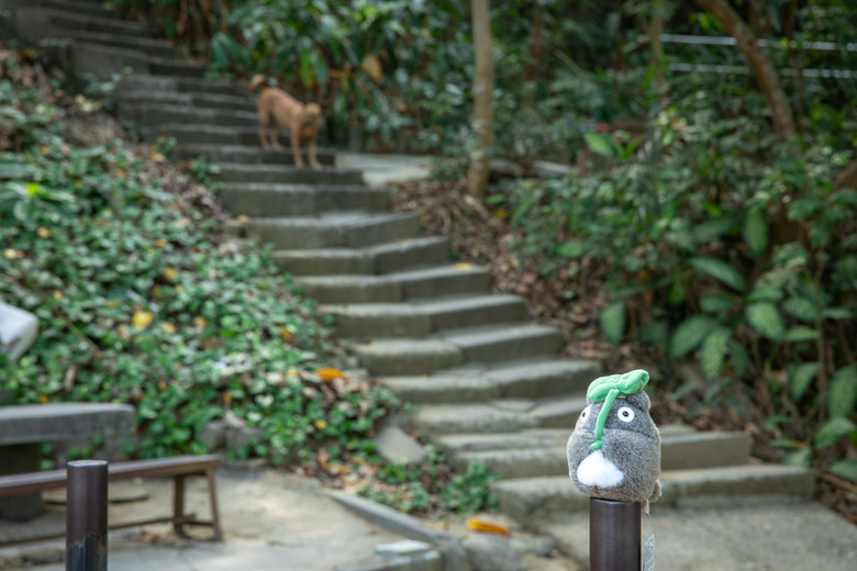 【小惡魔金龍踏春】道地古早美食 + 健行高雄觀音山步道