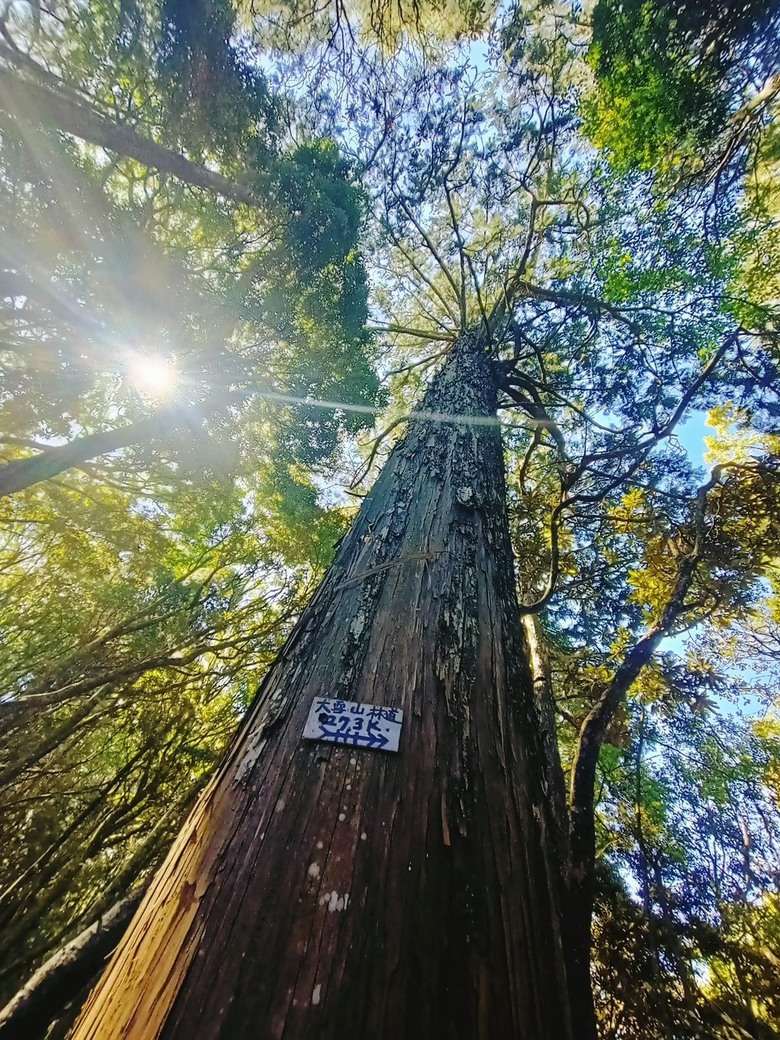 【小惡魔金龍踏春】年假爬山去之初二攀爬鳶嘴山
