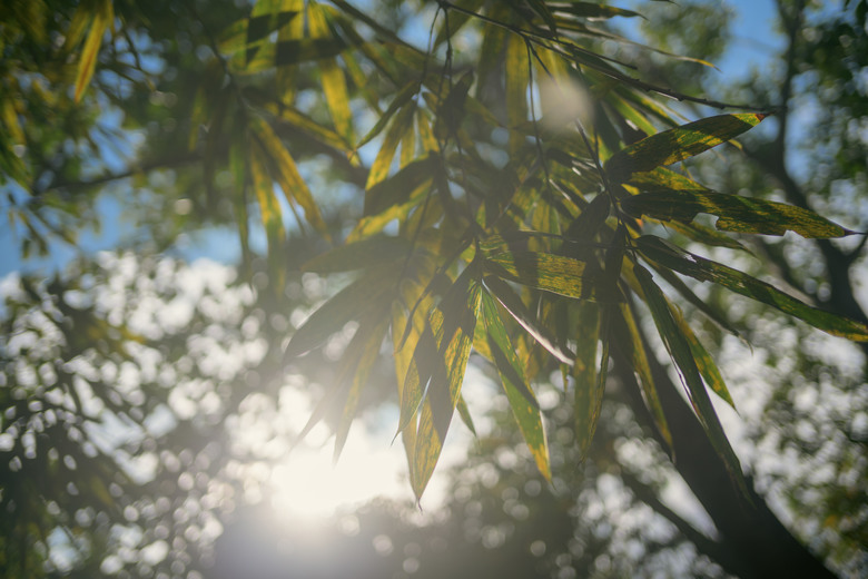 【入手心得】Nikon ZF + 40mm Kit 組