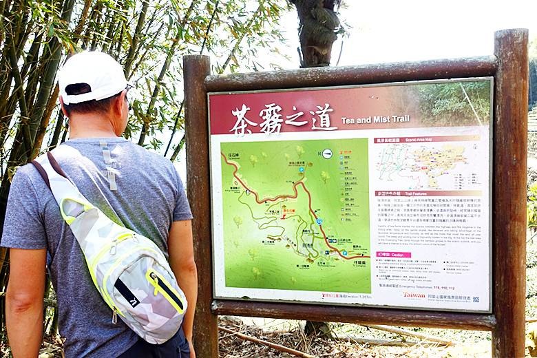 【小惡魔金龍踏春】嘉義阿里山 | 二延平步道健走