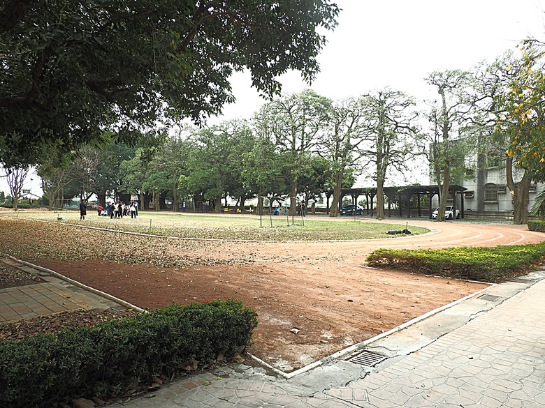 土庫驛可可莊園、土庫順天宮、土庫第一市場、怪人花枝鱔魚麵、黃金蝙蝠生態館、椬梧滯洪池、口湖遊客中心 — 2024年【小惡魔金龍踏春】春節假期遊程之二