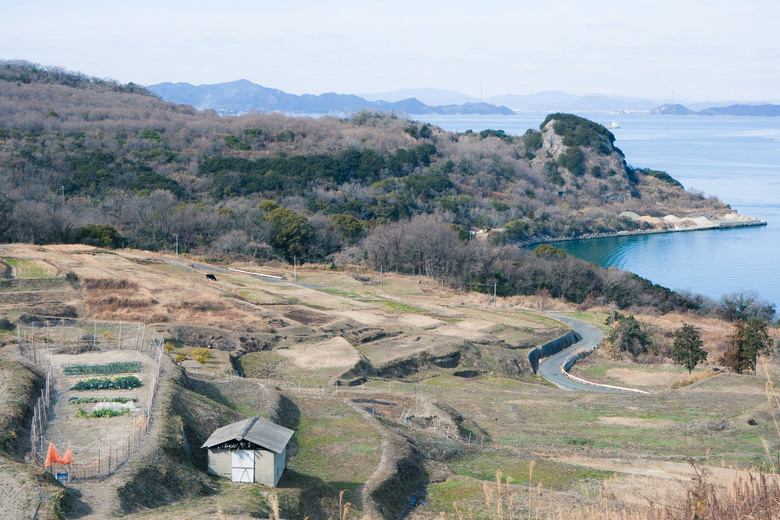 點我看大圖 瀨戶內海藝術島 冬日小旅行