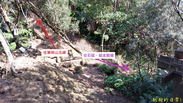 【小惡魔金龍踏春】筆架連峰 360度山巒優美景色 北部三大岩場最後拼圖
