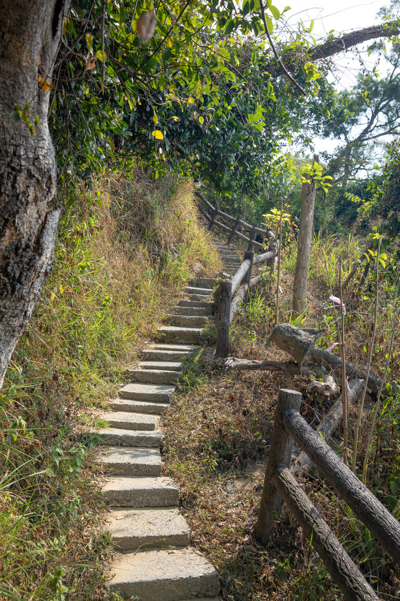 【小惡魔金龍踏春】道地古早美食 + 健行高雄觀音山步道