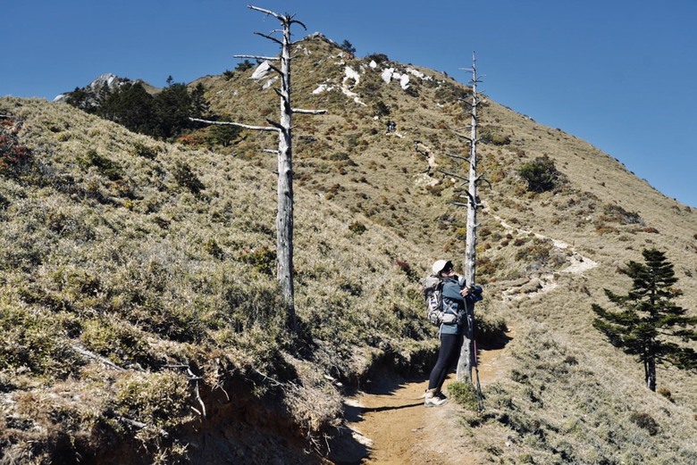 【南二段的始源】▲▲ 嘉明湖國家步道 - 向陽山、三叉山