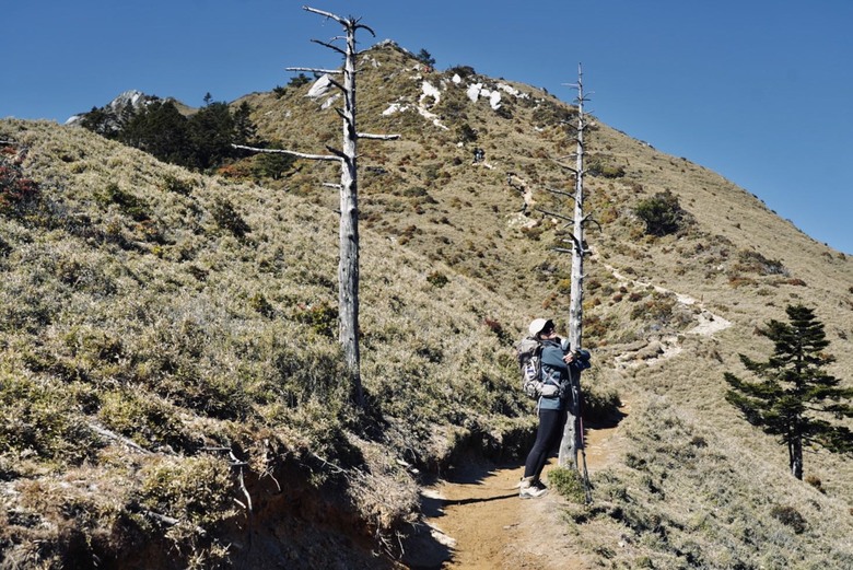 【南二段的始源】▲▲ 嘉明湖國家步道 - 向陽山、三叉山