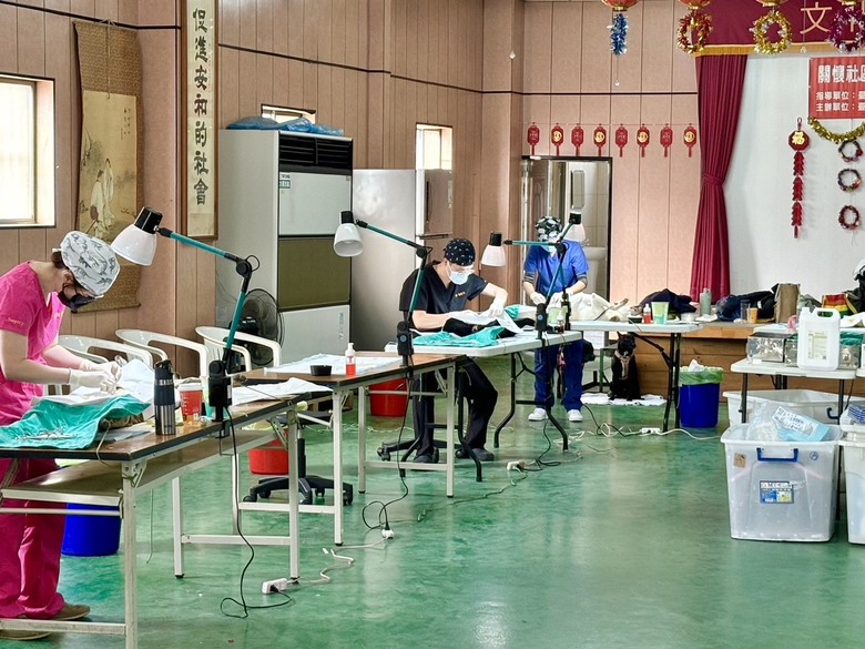 中市偏區家犬貓免費絕育首場梧棲登場,動保處:歡迎飼主報名參加
