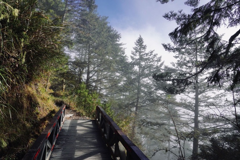 【南二段的始源】▲▲ 嘉明湖國家步道 - 向陽山、三叉山