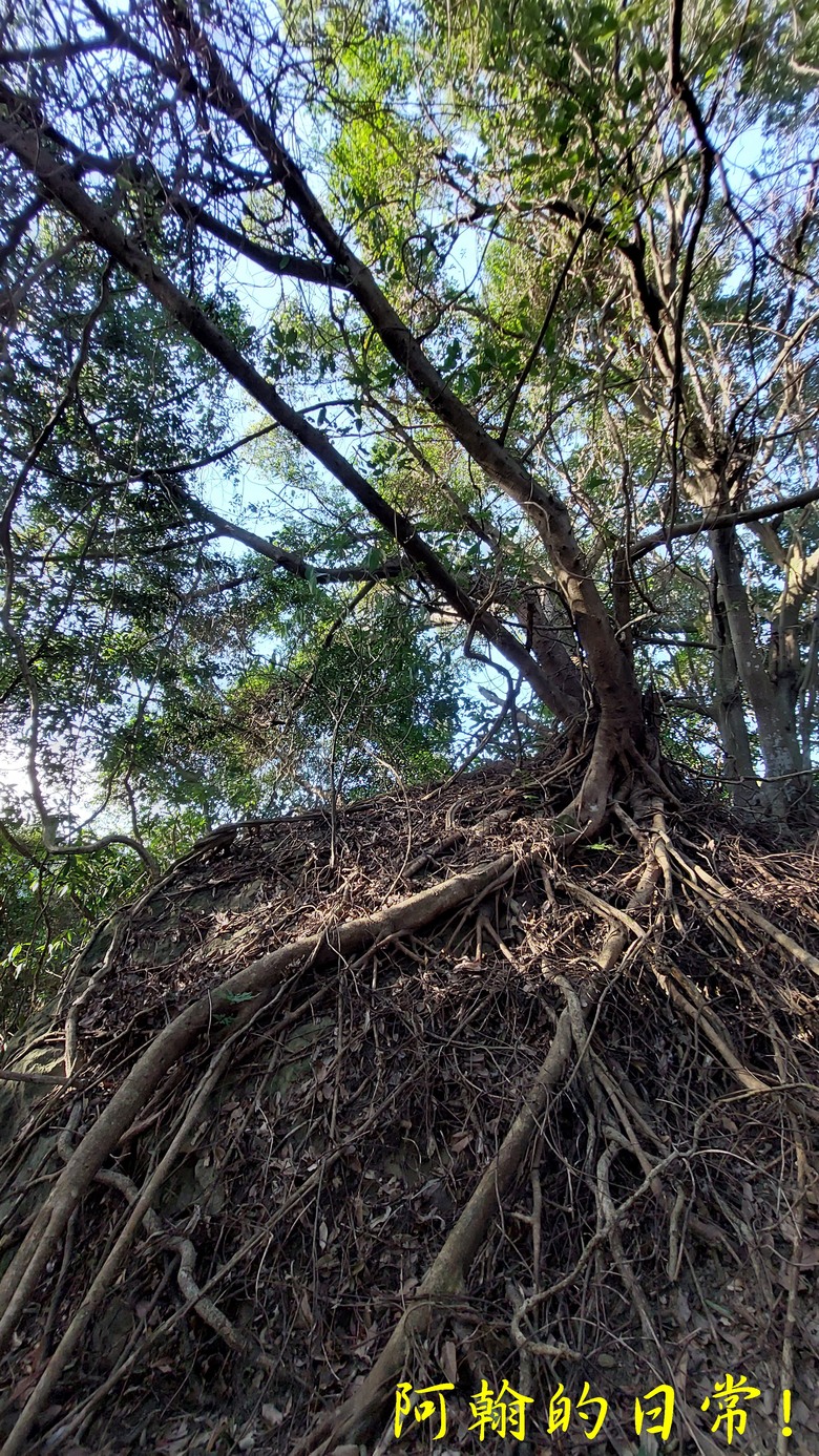 【小惡魔金龍踏春】雙心縱走 12座山峰+環湖走出心連心