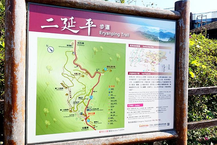 【小惡魔金龍踏春】嘉義阿里山 | 二延平步道健走