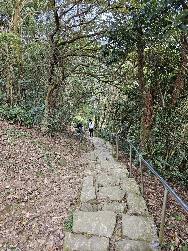【小惡魔金龍踏春】大尖山登山步道初三踏春